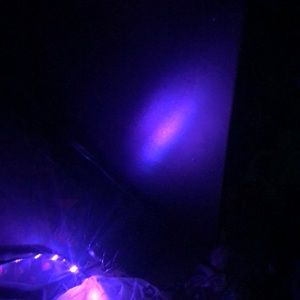 Meet your Posher, Larry